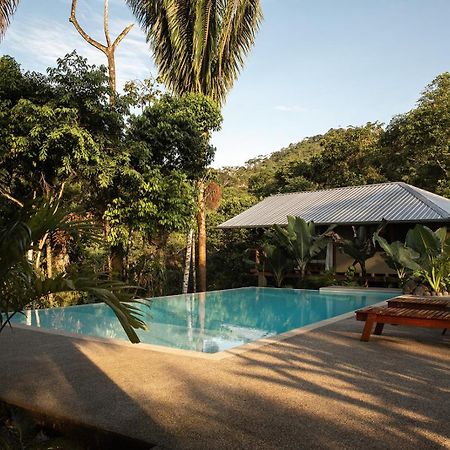 Wild Wasi Lodge - Adventures - Guided Tours Puyo Exterior foto