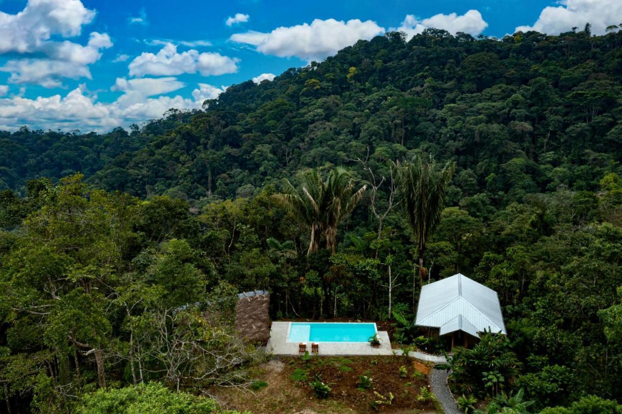 Wild Wasi Lodge - Adventures - Guided Tours Puyo Exterior foto